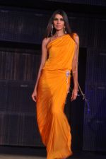 at Blenders Pride Fashion Tour 2011 Day 2 on 24th Sept 2011 (117).jpg